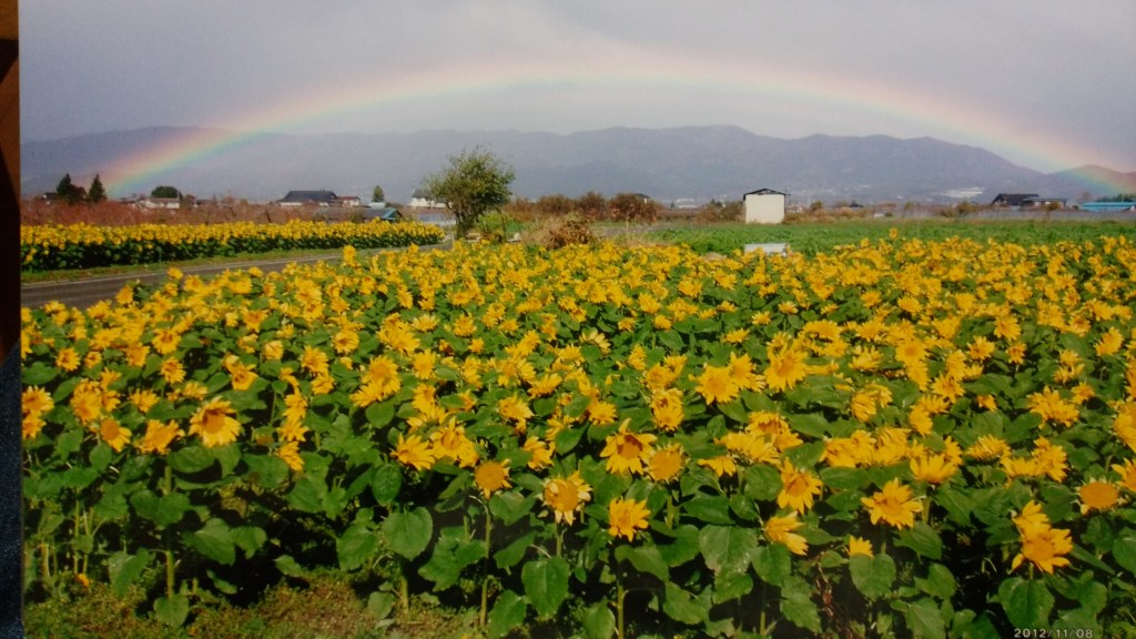 市議会だより 2025夏号
